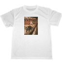 アーサー・ラッカム 猫 イラスト ドライ Tシャツ ネコ グッズ 名画(4)