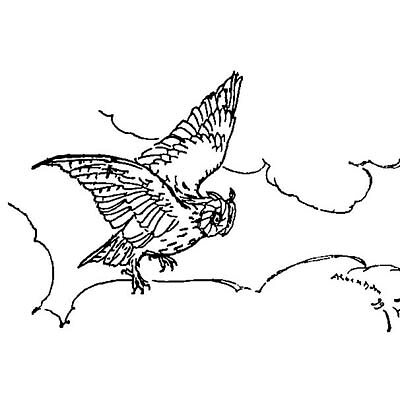 ミミズク　フクロウ　アーサー・ラッカム　ドライ　Tシャツ　ペット　アニマル　猛禽類　イラスト　グッズ　ロング Tシャツ ロンT 長袖