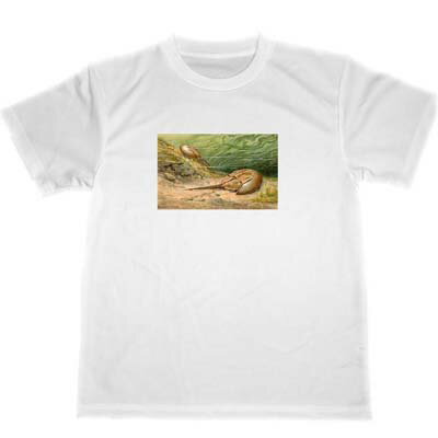 カブトガニ　ドライ　Tシャツ　恐竜　ヘインリッヒ　ハーダー　グッズ