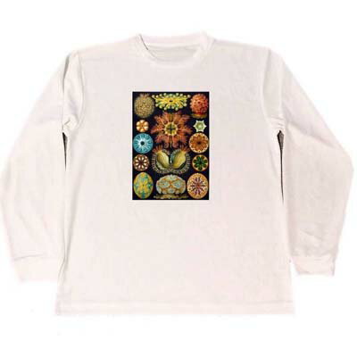 Long-Sleeved - エルンスト　ヘッケル　ドライ　Tシャツ　生物の驚異的な形　曼荼羅　生物　ロングTシャツ　ロンT