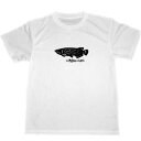 アロワナ　ドライ　Tシャツ　熱帯魚　グッズ　古代魚　龍魚