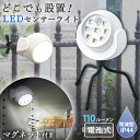 【送料無料】くねくね三脚付きLEDセンサーライト