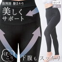 【送料無料】下腹スッキリ股関節スパッツロング M-L