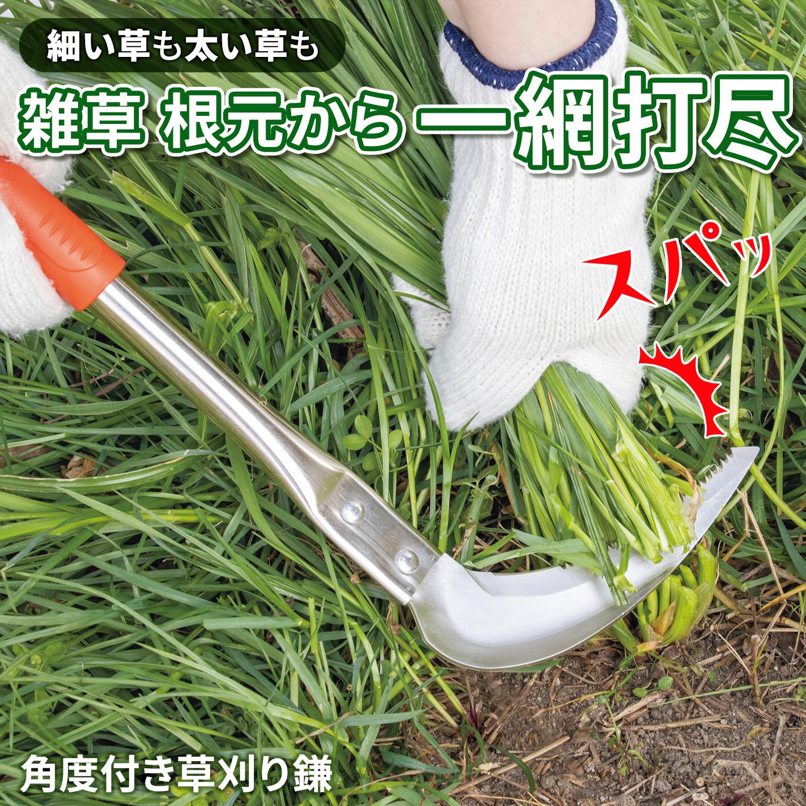 【送料無料】 角度付き草刈り鎌 草刈り鎌 除草鎌 鎌 かま 雑草 除草 用品 ガーデニング 農業 家庭菜園 庭 園芸 ギザ刃 直刃 ステンレス製 太い草 細い草 道具 工具 草取り 刈鎌 稲刈り鎌 掃除 …