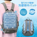 【送料無料】 冷感背中パッド