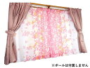 【送料無料】カーテン ボニータSNE 4P (約100X178) P 725988004178013