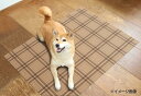 【送料無料】ペット用 防滑・防臭・防水マット チェック 60×90cm INSF-202 ブラウン