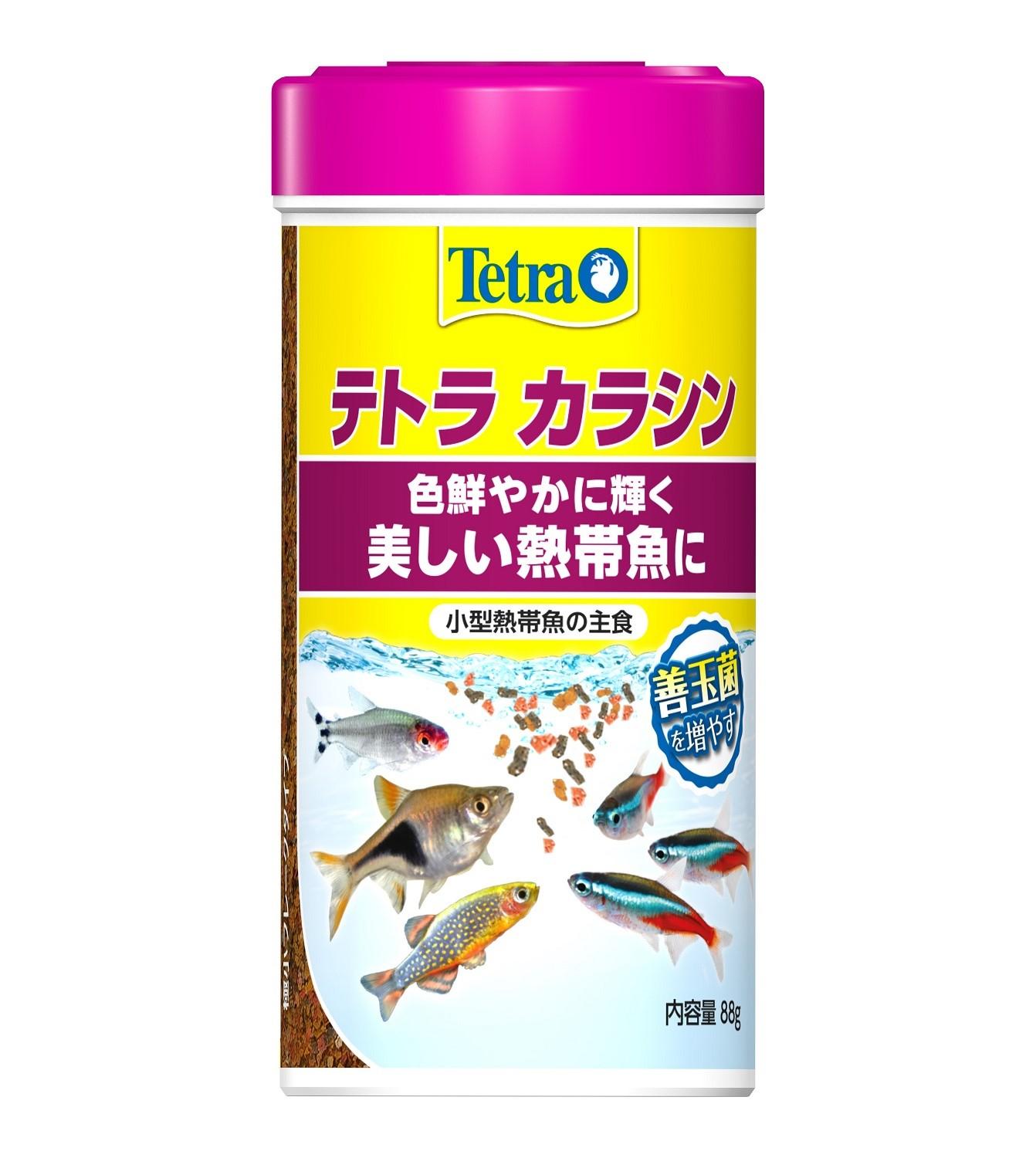 【送料無料】 3　テトラ カラシン　ベーシック　88g 77209
