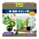 【送料無料】 3 テトラ メダカを育てよう 73121