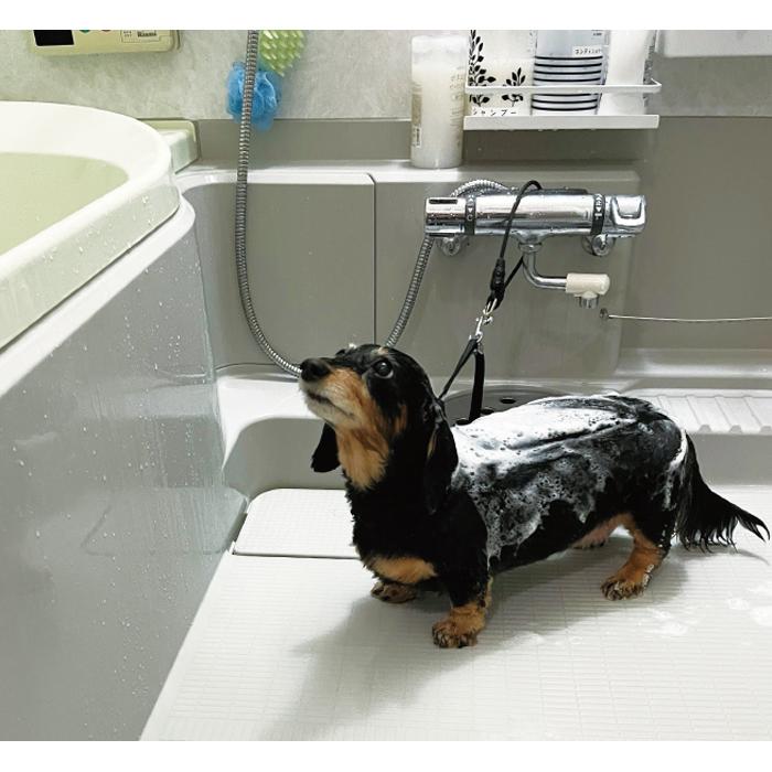 【送料無料】ドッグバス用リード 014407