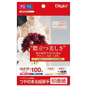 【送料無料】ナカバヤシ IJ印画紙SK2 超厚手 はがき 100枚 JPSK2-PC-100