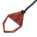 【送料無料】ルーペ PR-810 072068