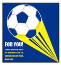 【送料無料】学校色紙2 サッカー AR0819069(3)