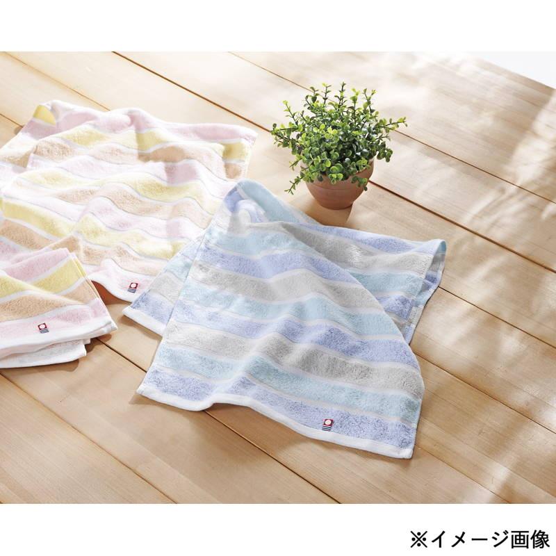 【送料無料】カラーレイズ タオルセット C-20250 42507005