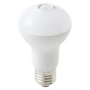 【送料無料】東京メタル 人感、明暗センサー型LED電球 LDR8NS60W-TM