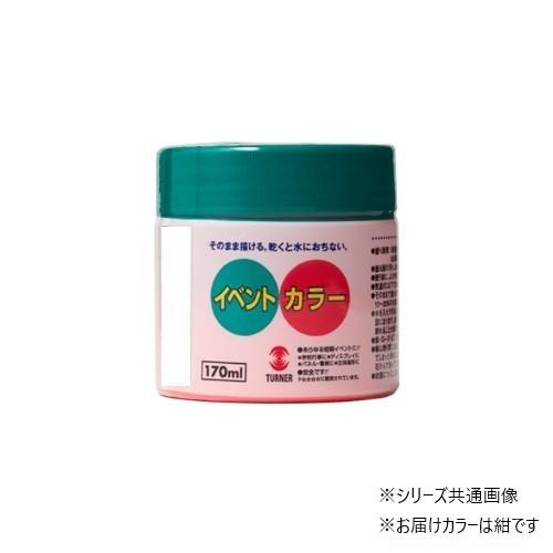 【送料無料】ターナー色彩 NEOイベントカラー 紺 EV17007 170ML