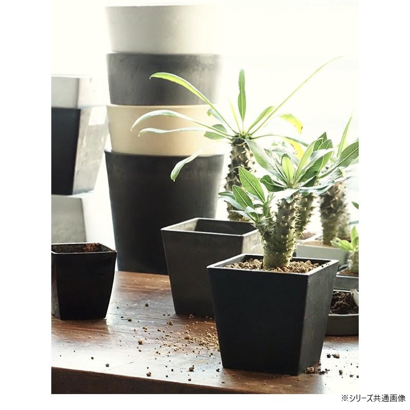 【送料無料】SKスクエアポット ブラック 12×H12　3d00032BK