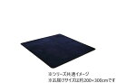 【送料無料】 フランネルキルトラグ 約200×300cm ネイビー 4959349