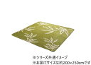 【送料無料】 ラグ カーペット 3畳 洗える 花柄 リーフ柄グリーン 約200×250cm 1380000000521(3)