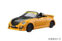 【送料無料】 青島文化教材社 1/24 PANDORA TYPE887 EVO II L880K コペン '02(ダイハツ)