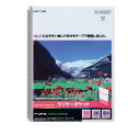 【送料無料】 LIHIT LAB.(リヒトラブ) クリヤーポケット ルポ・リーンフォース B4 S型(タテ型) 藍 N-2007