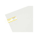 【送料無料】 PAC46-05 ペットエース透明 450×600×0.5mm 871206