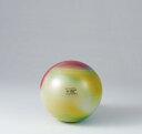 【送料無料】 ダンノ(DANNO) ギムニクアルテ 65(レインボー) D5986