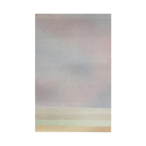 【送料無料】料紙 行成 細字 5色セット 半紙判 20枚 AG69-1