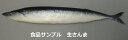 【送料無料】日本職人が作る 食品サンプル 生さんま IP-500