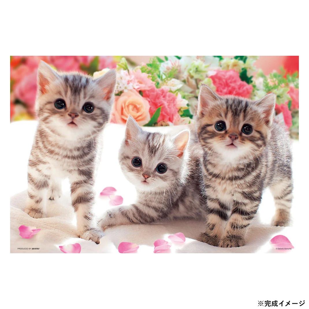 【送料無料】 ビバリー ペットジグソーパズル あそんでにゃ 300ピース P33-118