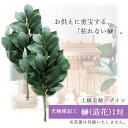 【送料無料】光触媒加工 土橋美穂デザイン 榊(造花) 1対