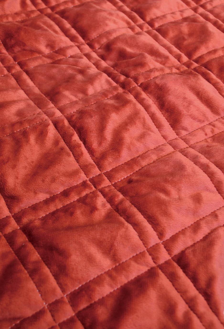 【送料無料】アサンテ キルトブランケットLL RD 168133