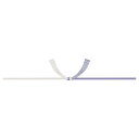 【送料無料】のし紙 B5判 蓮柄なし 京(100枚入) 2-618 22559313