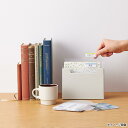 【送料無料】ナカバヤシ どっさり個別/いれとくホルダー/A6/ボックスセット/クリア CH-8070C-B