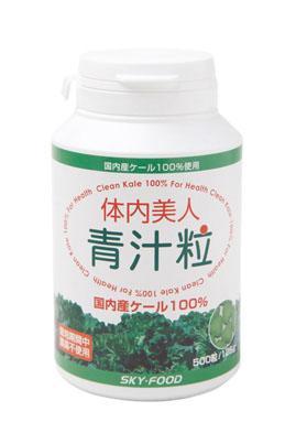 【送料無料】体内美人　青汁粒125g(500粒)