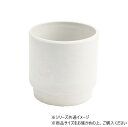 【送料無料】 SKステップ 12xH12 ミルキー 3d00039ML