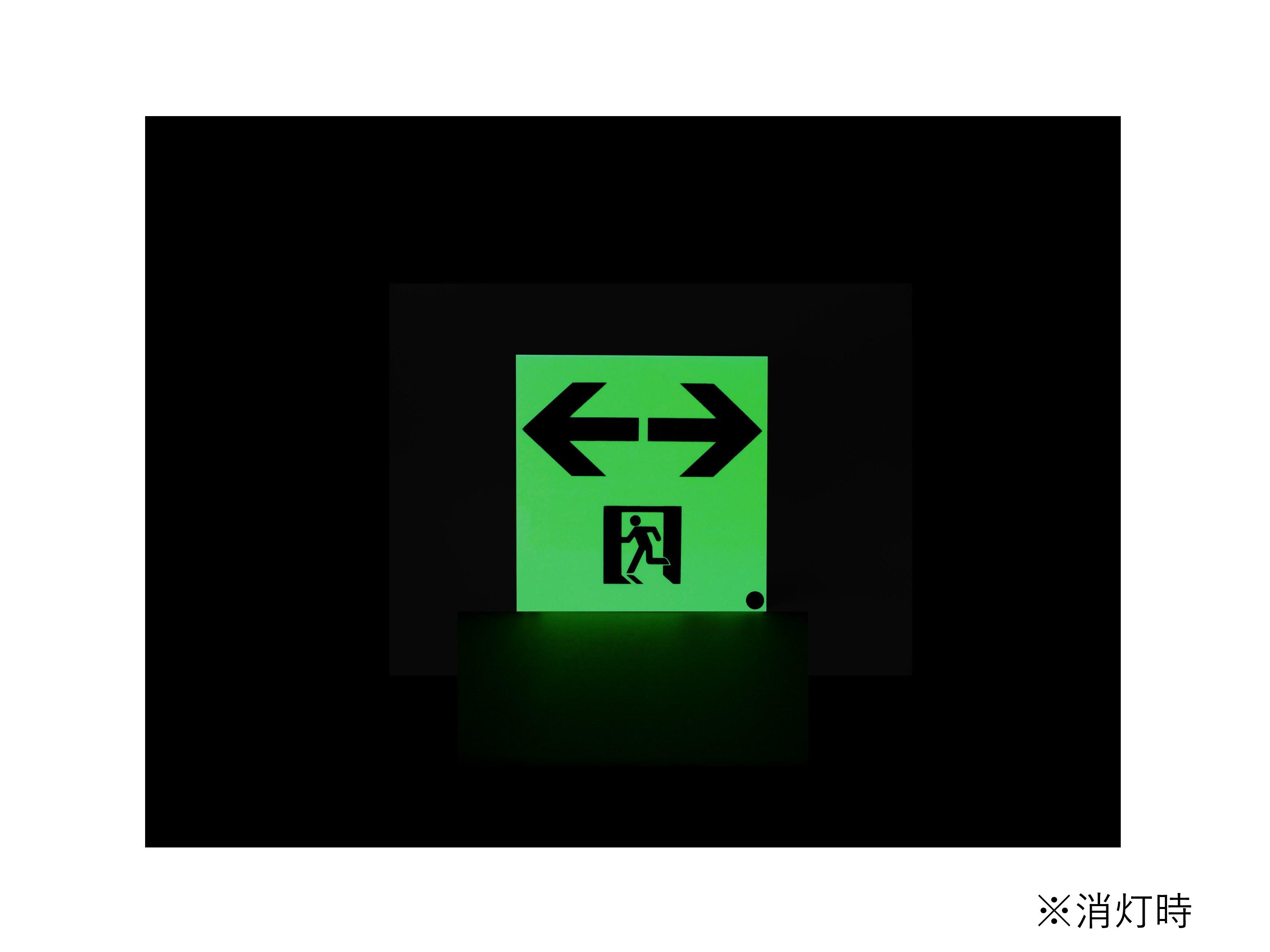 【送料無料】エルティーアイ 消防認定品 S級 高輝度蓄光式誘導標識 スタンダード 両矢印 SSN553