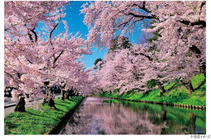 【送料無料】 ジグソーパズル 1000ピース 風景 桜雲の弘前公園(青森) 10-1455