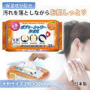 【送料無料】 UYEKI(ウエキ)・ボディーシャワータオル