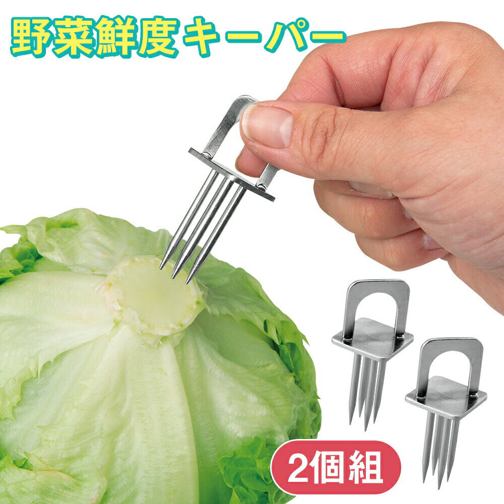 【レビュー強化！1000円クーポン配布中】野菜鮮度キーパー 2個組　野菜 鮮度 フレッシュ 葉物野菜 レタス キャベツ 白菜 鮮度保持 長持ち 保存 保持 新鮮 ステンレス ピック 刺す 成長点 芯 破壊 丈夫 繰り返し 簡単 便利 廃棄減 エコ 食品ロス フードロス サスティナブルのサムネイル