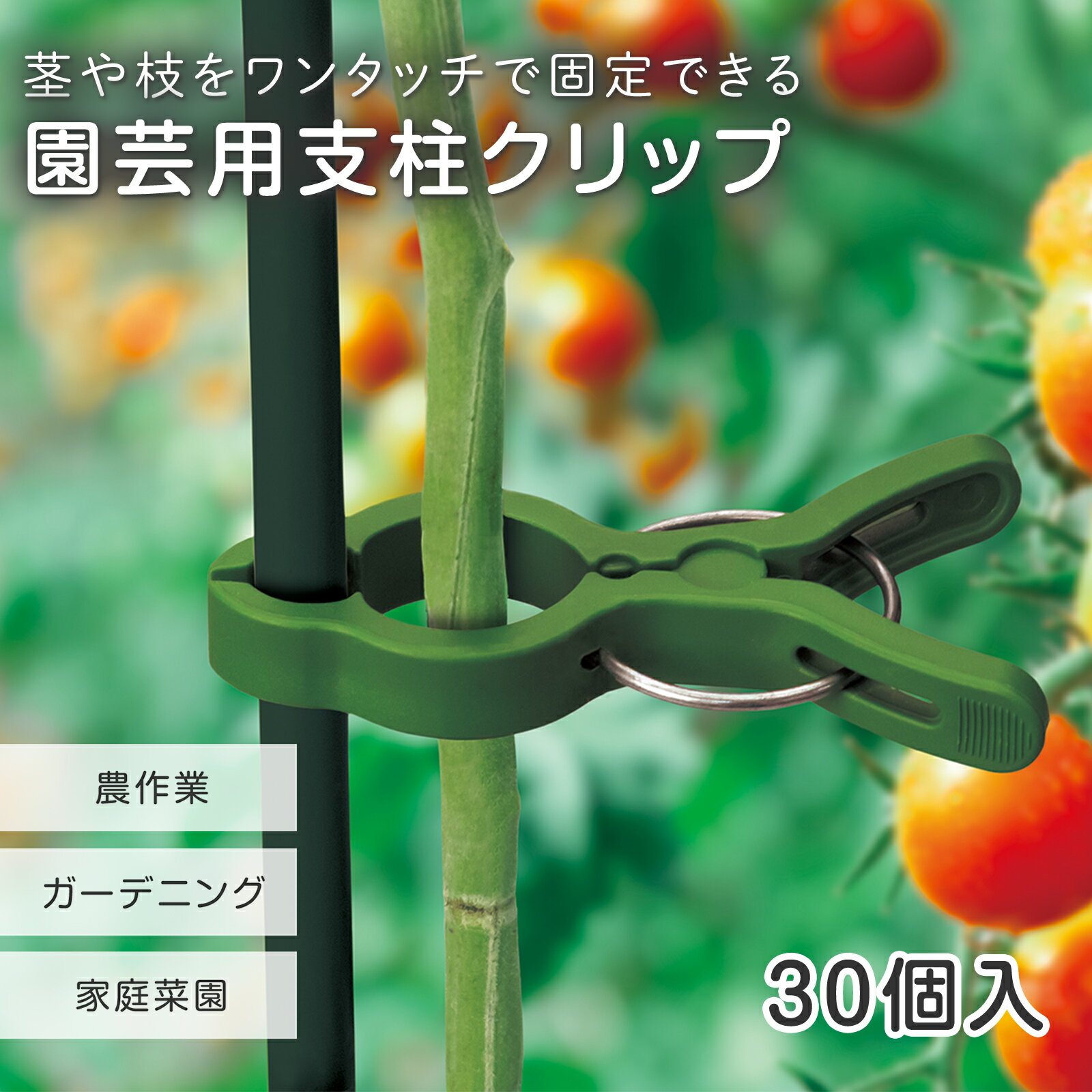 送料無料 園芸用 支柱クリップ (30個組) 園芸 支柱 クリップ 誘引クリップ 誘引 園芸用品 農業用品 園芸用クリップ 植物 固定 繰り返し使える マルチサイズ 耐候性ポリプロピレン 凸凹形状 ワンタッチ 簡単 農作業 ガーデニング 家庭菜園 茎 枝