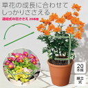  連結式の花ささえ 20本組 (支柱：約Φ5.5mm) 花ささえ 連結 支柱 花支柱 植物支柱 支え棒 園芸支柱 園芸用品 ガーデニング用品 園芸グッズ 成長 支え グリーン 組立式 縦 横 高さ 調節可能 サークル 直線 タワー 単独 ジョイント