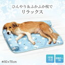 ひんやりマット（ペット用） 送料無料 ペット用冷感ごろ寝マット　大 (約50×70cm) ペット用 冷感マット ペットマット ひんやり クール マット 敷きパッド 犬 猫 中型犬 大型猫 接触冷感 枕 取り外しOK 大きめサイズ 滑り止め加工 手洗い可 洗える かわいい 暑さ対策