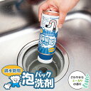 【送料無料】泡パック洗剤 排水管用