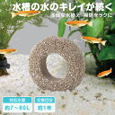 【送料無料】水質浄化材 バクリング