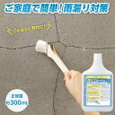 【送料無料】耐水コート剤雨ミズガードR