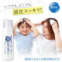 【送料無料】水のいらない泡シャンプー 無香料