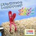 【送料無料】 Wバネがっちり竿ピンチ 10個組