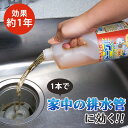 トイレ詰まりの決定版 トイレのつまり トイレ排水管用 洗剤 バイオパイプクリーナー トイレ 詰まり 詰り つまり 解消 消臭 悪臭防止 エコ SDGs エムアイオージャパン ROEBIC K-97JD 4リットル