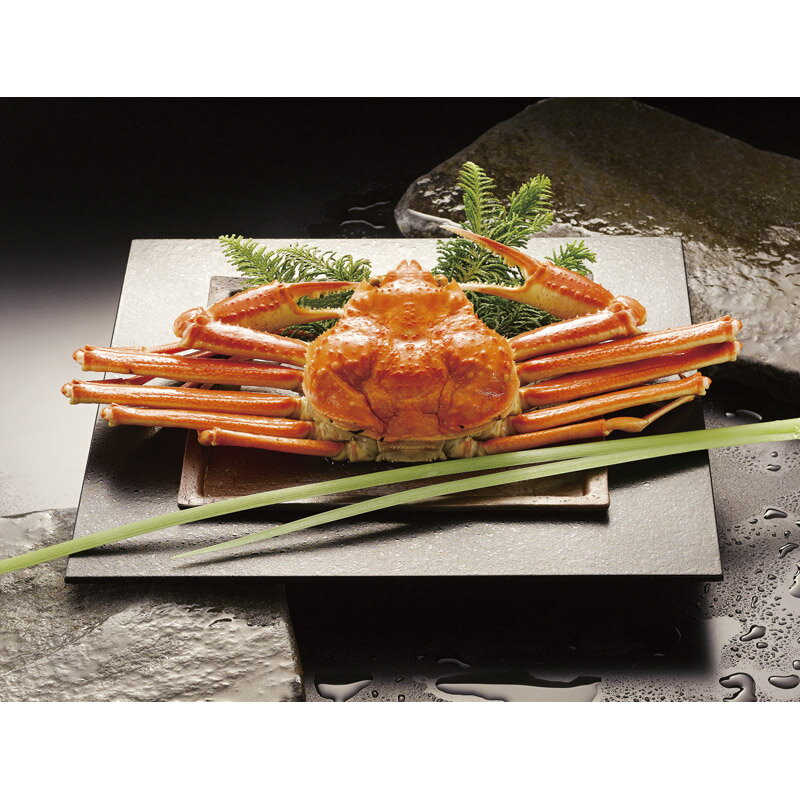 ボイルずわいがに姿 450g×1尾 ZHB451 [ty]